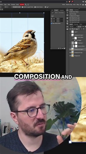 Master Composition: Use Grids & Crop Tool!