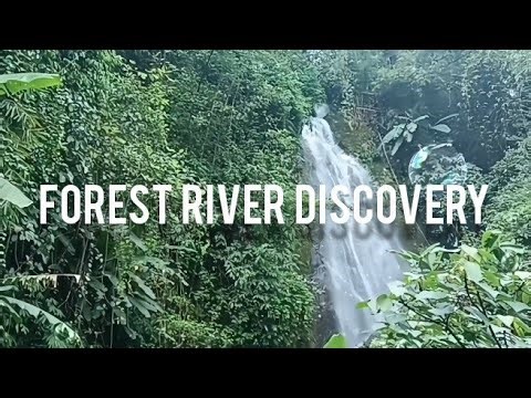 Forest River Discovery