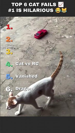 These 6 Cat Fails Are Hilarious 😹 #shorts #funny #catfails