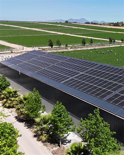 60 reactions | We’ve just wrapped up a 350 kW solar system at Nagenoeg. All to power their brand-new irrigation system and pack shed. Perfectly timed for the spring season and all the sunny days to come. It’s always a win when we can help growers take more control of their energy use, save on bills, and keep their systems running strong for many seasons to come. | Vegtech Netafim | Facebook