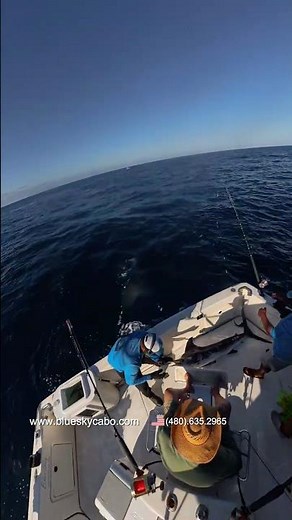 Marlin fishing in Cabo San Lucas