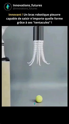 Innovations | Sciences | Technologies on Instagram: "Un bras robotique souple, conçu pour imiter les capacités du poulpe. Ce bras robotique peut manipuler et déplacer des objets de formes, de tailles et de textures variées. Sa conception flexible et conique lui permet de se plier et de s'adapter facilement. De plus, il est équipé de ventouses, similaires à celles du poulpe, qui lui permettent de saisir fermement les objets, même fragiles ou à surface irrégulière. Ce bras robotique est donc polyv