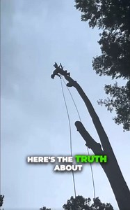 Here’s the truth about tree service nobody says out loud… Tree removal shouldn’t cost you a month’s salary—but the big companies make it that way on purpose. We don’t play that game. We’re a local, licensed-and-insured crew that actually gives a damn. We show up on time, we handle the dangerous stuff, and we don’t slap you with ridiculous corporate prices. Before we step onto every job site, I tell my guys the same thing: “Treat it like it’s your grandma’s property.” Because when you approach a 