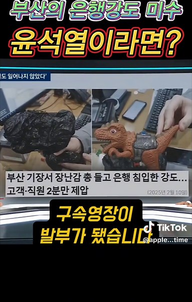 부산 은행강도가 만약 윤석열이라면? 강도는 우선 구속됨 그럼 석열이도? #윤석열 #내란 #계엄령 #부산은행강도 #장난감총 #구속 #댓글