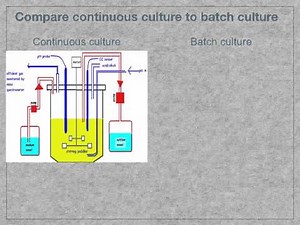 A level. S.3 Fermentation and fermenters Ms Cooper