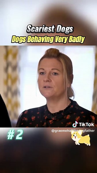 GraemeHall.TheDogfather on TikTok