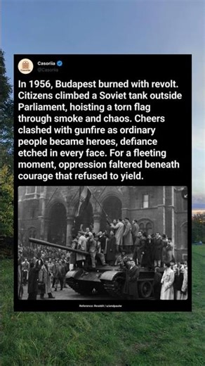 The Bomber Who Survived Benghazi #history #military #movie #ww2