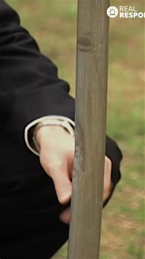 101K views · 1.4K reactions | Our investigation unveils key details of a hit-and-run involving a bicycle. We review the fresh gouge, witness accounts, and a suspicious vehicle spotted near the school. We explore evidence surrounding the case. #HitAndRun #Investigation #TrueCrime #Mystery #Crime #Evidence #CarAccident #CaliforniaCars #Detectives #Witnesses | Real Responders | Facebook