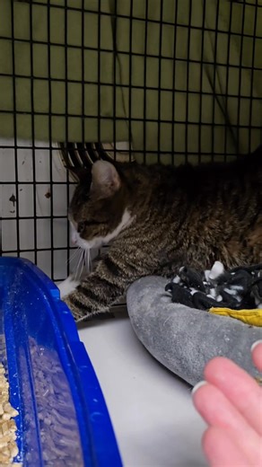 9.3K views · 791 reactions | Let Them. This is the newest, trending...