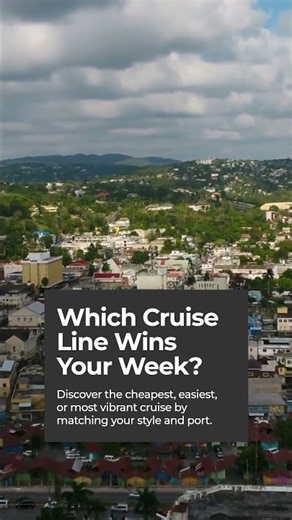 Margaritaville at Sea vs NCL vs MSC