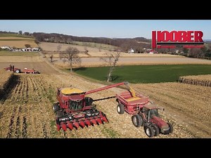 Kavel Farms Case IH 9230 Combine Corn Harvest
