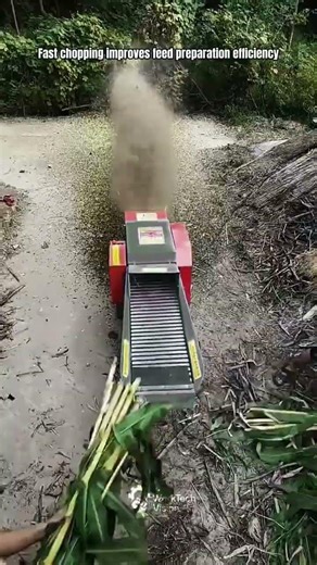 Corn Stalk Chopping Process Using Agricultural Chaff Cutter Machine
