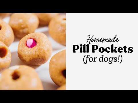 DIY Pill Pockets For Dogs