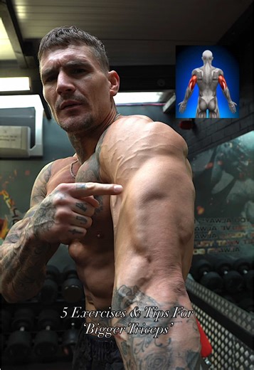 Effective Tricep Exercises for Bigger Arms