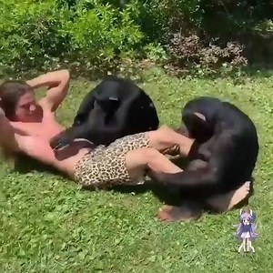 Unbelievable animals so love | American Greats