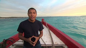 Madagascar's struggle with deforestation