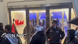 Loudlabs News NYC on Reels