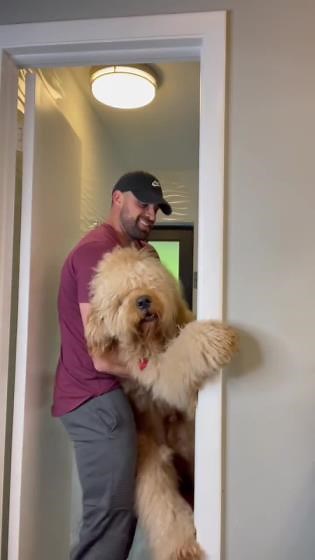 Dog really hates bath time. #goldendoodle #dogdad #grooming