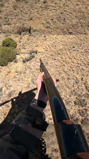 Warthog Take Down from Helicopter! #helicopterhunting #hunting