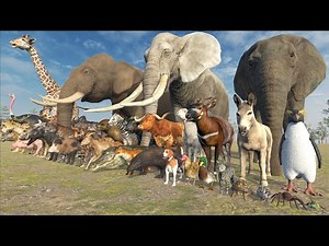 Animal Size COMPARISON in 3D Animation | Realistic World Data