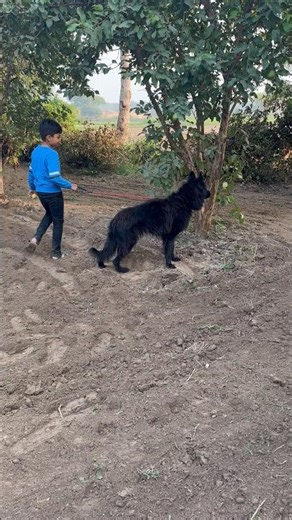 Caught Off Guard by His Own Dog