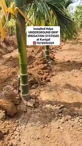 17K views · 109 reactions | We provide professional setup and installation for all types of irrigation systems. ☎️7676994369 ಡಿ.ಲಿಂಗಪ್ಪ ತೆಂಗಿನ ತೋಟಮತ್ತುನರ್ಸರಿ ತುಮಕೂರು | ಡಿ.ಲಿಂಗಪ್ಪ ತೆಂಗಿನ ತೋಟಮತ್ತುನರ್ಸರಿ ತುಮಕೂರು | Facebook