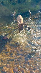 2.6K views · 71 reactions | Dear September… We miss you already 沈 | Barnes Bullets | Facebook