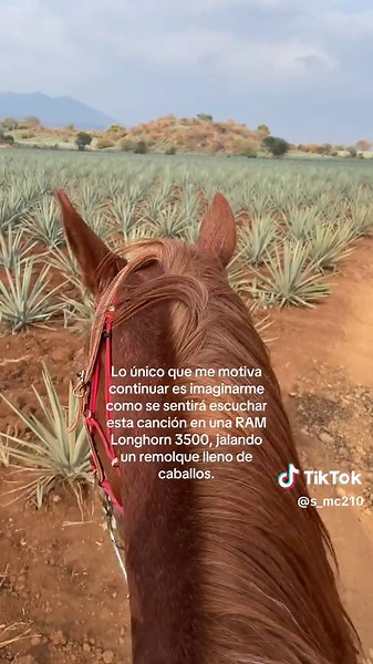 Motivación con Caballos y RAM Longhorn 3500