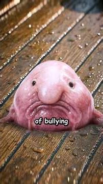 Animals With Most Depressing Life's Ever ... 🦦💀