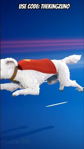 NEW Krypto the Superdog in Fortnite is amazing! 🦴✨ Fetch!