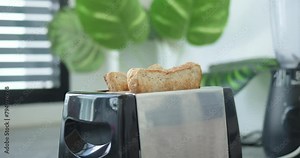Close-up toasted slices bread popping out of toaster in modern kitchen. Toasted, delicious bread is ready for delicious breakfast. Toaster in kitchen is often used to quickly prepare delicious bread.
