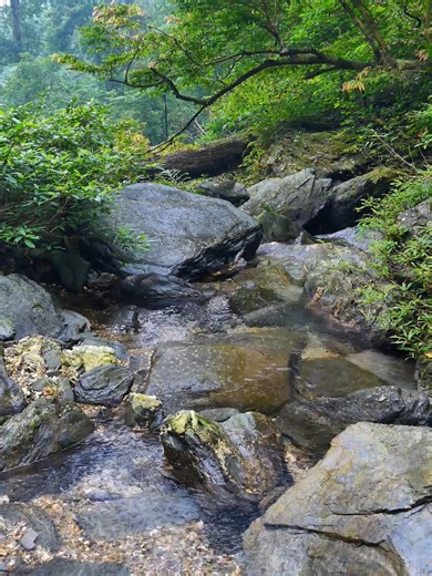 Vast Nature 4K: Immersive Soundscapes for Relaxation