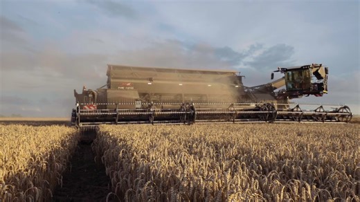 NEXAT2024年度总结回顾