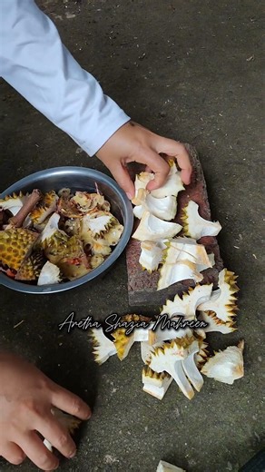 Simple composting in a biopore composter. cara simple bikin kompos di komposter biopori #berkebun