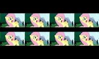 Mix of 8 videos from youtube : Fluttershy Yay for a wing