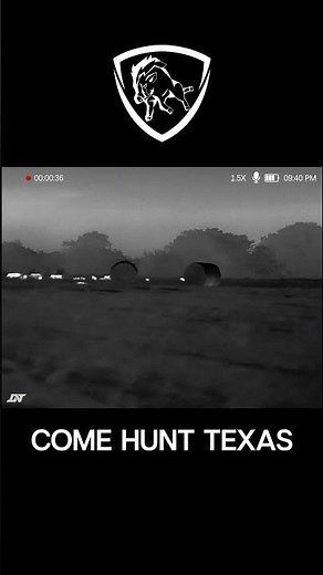 Hog Hunting in Texas be like... Thermal scopes. Wild hogs. Night patrol.