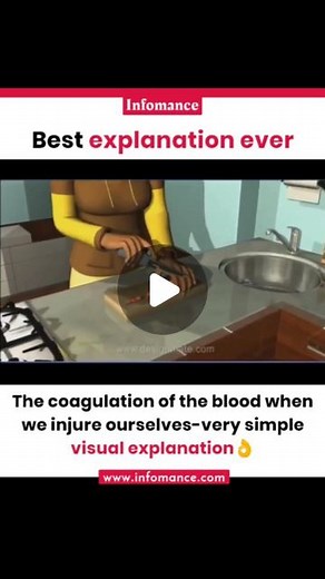Infomance™ on Instagram: "Coagulation of Blood when we injure ourselves . . Credit: Designmate"
