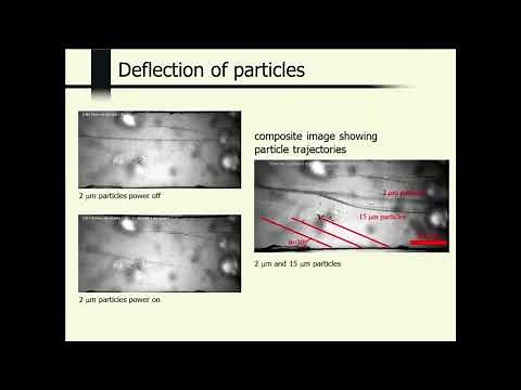 Particle separation using bulk acoustic waves in a tilted angle microfluidic channel