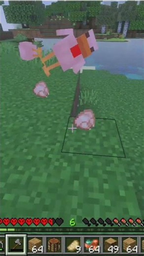 Rotisserie #minecraft #pc #pvp #xbox #android #new #rpg #memes #meme #cooking #food #clutch #clips