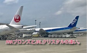 ANAブロンズとJALクリスタルの違い。特典・メリットまとめ。 | しーずざでい 　SFC修行とかマイルとか