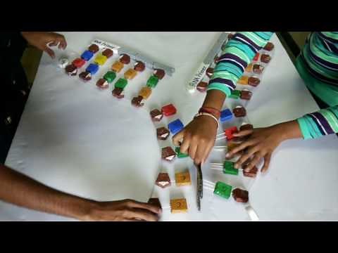 Project on semiconservative DNA replication