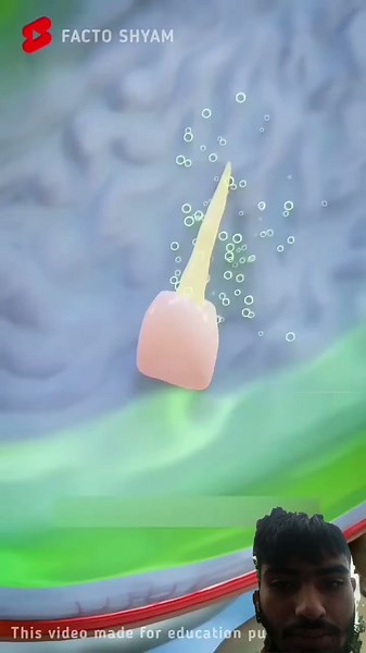 Can a Tooth Digest? Explained with 3D Animation! #shorts​​