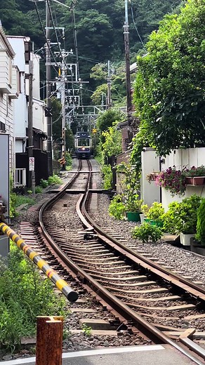 江ノ電 民家すれすれ - 近くを走る列車の魅力を堪能