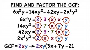 How Do You Factor the Greatest Common Factor out of a Polynomial? | Virtual Nerd