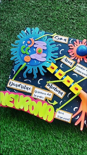 Cómo hacer una maqueta de una neurona para niños