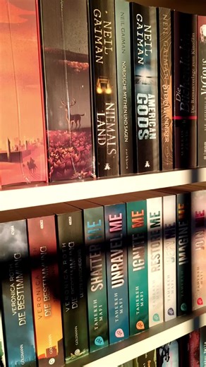 What do i do with my Life after Stranger Things ends? #strangerthings #booktok #strangerthingsbook #upsidedown #book