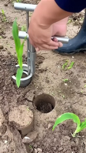 🌱 Efficient Seedling Transplanter Tool | Fast & Precise Vegetable Planting #farming #viral