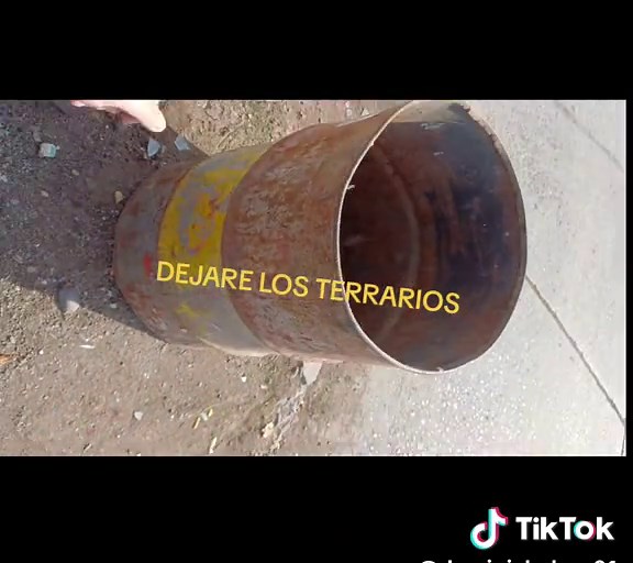 Voy de dejar los terrarios 😁😁😁😁😁#paludarium #exoticpets #mascotas #habitat #habitat #camaleon #tarantula #tortugas #acuarios #terrarios #santiagodechile #vira #chile