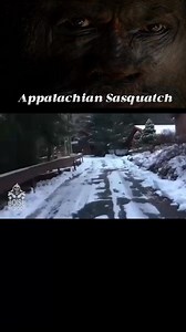 The Appalachian Mountains hold the most secrets and are considered among the oldest mountain ranges in the world. Their ancient geological history, spanning over 1 billion years, makes them one of the oldest mountain chains on earth, leading to a rich tapestry of stories and legends associated with them. It just makes sense that Sasquatch would call this place home. #boisebigfoot #cryptidclan #foryouシ #bigfoot #appalachia | Boise Bigfoot