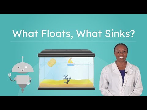 What Floats, What Sinks? - Floating and Sinking Explained!